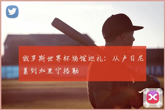 俄罗斯世界杯场馆巡礼:从卢日尼基到加里宁格勒