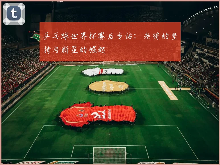 乒乓球世界杯赛后专访：老将的坚持与新星的崛起