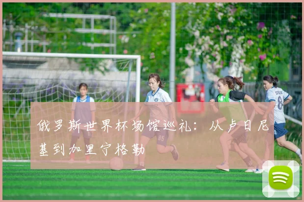 俄罗斯世界杯场馆巡礼：从卢日尼基到加里宁格勒